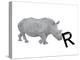 R is for Rhinoceros-Stacy Hsu-Stretched Canvas