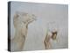 Rabari Leading Camel-Lincoln Seligman-Premier Image Canvas