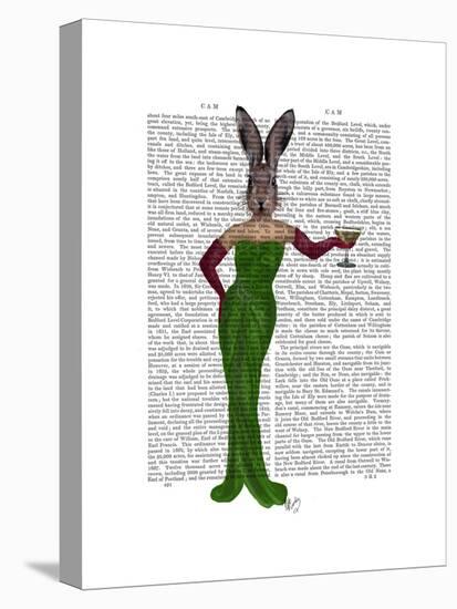 Rabbit Green Dress-Fab Funky-Stretched Canvas