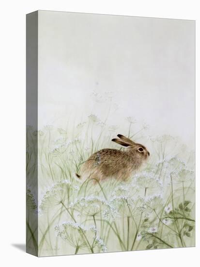 Rabbit-Jane Neville-Premier Image Canvas