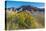 Rabbitbrush and Grasslands, Badland National Park, South Dakota-Howie Garber-Premier Image Canvas