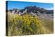 Rabbitbrush and Grasslands, Badland National Park, South Dakota-Howie Garber-Premier Image Canvas