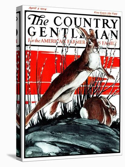 "Rabbits in Pussy Willows," Country Gentleman Cover, April 5, 1924-Paul Bransom-Premier Image Canvas