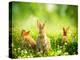 Rabbits-Subbotina Anna-Premier Image Canvas