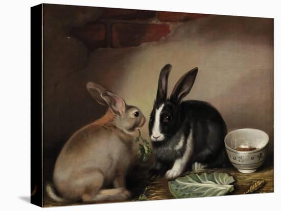 Rabbits-Joseph Thomas Wilson-Premier Image Canvas