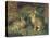 Rabbits-Henry Carter-Premier Image Canvas