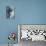 Raccoon 3-Gordon Semmens-Premier Image Canvas displayed on a wall