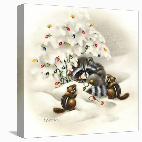 Raccoon, Chipmunks and Christmas Lights-Peggy Harris-Premier Image Canvas