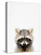 Raccoon-Tai Prints-Premier Image Canvas