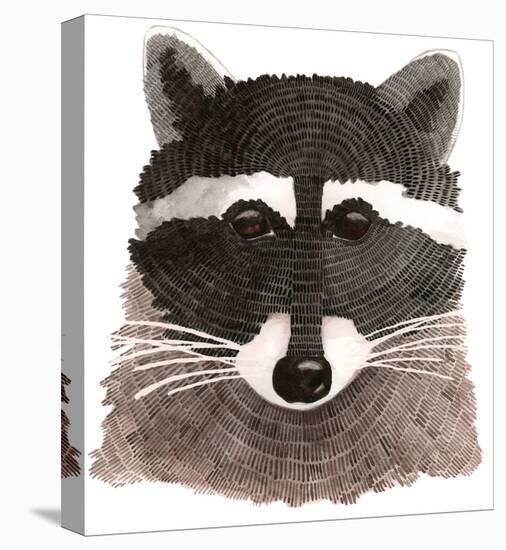 Raccoon-Jeannine Saylor-Stretched Canvas