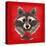 Raccoon-Bella Dos Santos-Stretched Canvas