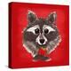 Raccoon-Bella Dos Santos-Stretched Canvas