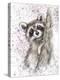 Raccoon-MAKIKO-Premier Image Canvas