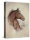 Race Horse II-Ruane Manning-Stretched Canvas