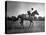 Race Horse Man O' War-null-Premier Image Canvas