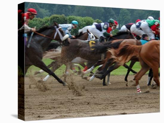 Race Horses in Action, Saratoga Springs, New York, USA-Lisa S^ Engelbrecht-Premier Image Canvas