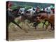 Race Horses in Action, Saratoga Springs, New York, USA-Lisa S^ Engelbrecht-Premier Image Canvas