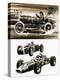 Racing Cars-Wilf Hardy-Premier Image Canvas