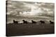 Racing the Clouds-Lisa Dearing-Premier Image Canvas