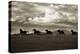 Racing the Clouds-Lisa Dearing-Premier Image Canvas