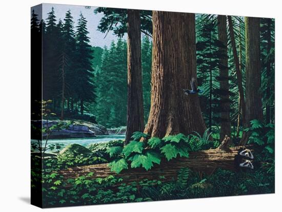 Racoon Family-Stan Galli-Premier Image Canvas