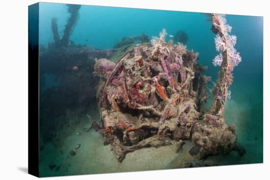 Radial Engine of the Dauntless Dive Powerful Striker Aircraft Wreck, Marovo Lagoon, the Solomon Isl-Reinhard Dirscherl-Premier Image Canvas