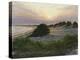 Radiance-Bruce Dumas-Premier Image Canvas