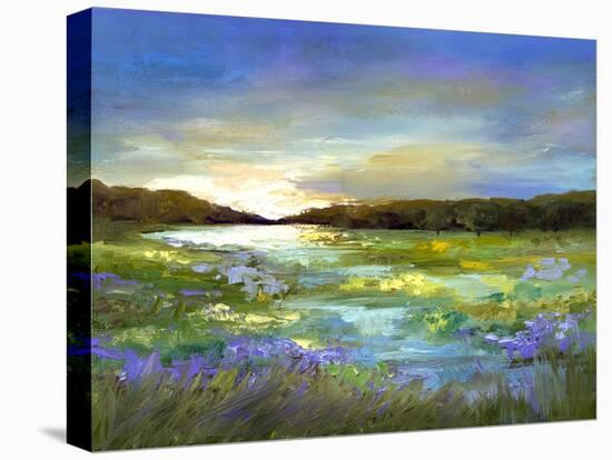 Radiant Evening-Sheila Finch-Stretched Canvas