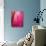 Radiant Pink Tulip II-Ella Lancaster-Stretched Canvas displayed on a wall