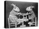 Radio Rabbits-null-Premier Image Canvas