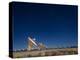 Radio telescopes at an Astronomy Observatory, New Mexico, USA-Maresa Pryor-Premier Image Canvas