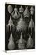 Radiolaria-Ernst Haeckel-Stretched Canvas