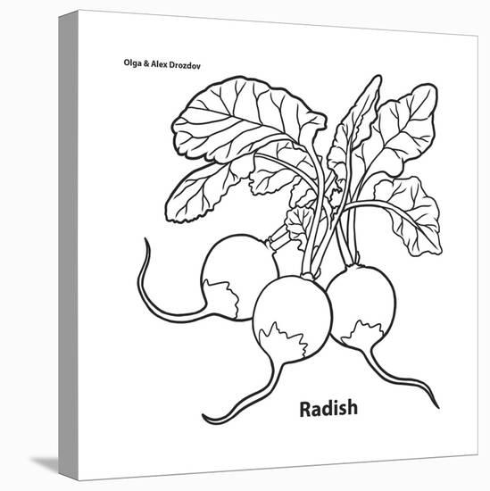 Radish-Olga And Alexey Drozdov-Premier Image Canvas