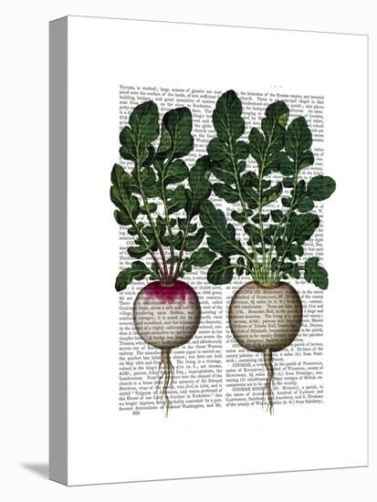 Radishes Print-Fab Funky-Stretched Canvas