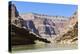 Rafters, Colorado River, Grand Canyon National Park, Arizona, USA-Matt Freedman-Premier Image Canvas