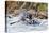 Rafters Going Through Rapids, Grand Canyon National Park, Arizona, USA-Matt Freedman-Premier Image Canvas