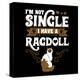 Ragdoll Cat Pet-Wonderful Dream-Stretched Canvas