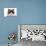 Ragdoll Cat-Fabio Petroni-Premier Image Canvas displayed on a wall