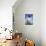 Ragdoll Seal Point-null-Premier Image Canvas displayed on a wall