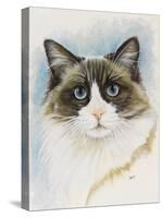 Ragdoll-Barbara Keith-Premier Image Canvas