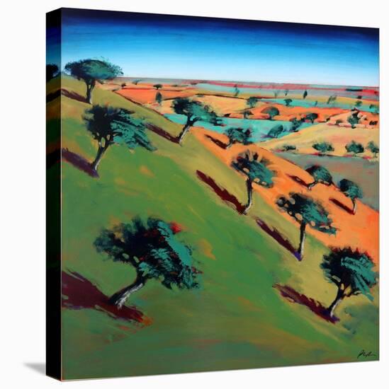 Ragged Stone Hill-Paul Powis-Premier Image Canvas