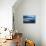 Ragged Tooth Shark-DLILLC-Premier Image Canvas displayed on a wall