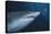 Ragged Tooth Shark-DLILLC-Premier Image Canvas