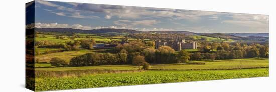 Raglan Castle, Monmouthshire, Wales, United Kingdom, Europe-Billy Stock-Premier Image Canvas