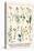 Ragwort, Everlasting Flower, Buckthorn, Wood-Sorrel and Venus's Looking Glass-Albertus Seba-Stretched Canvas