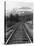 Railroad Tracks, Alaska 85-Monte Nagler-Premier Image Canvas