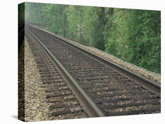 Railroad Tracks, Kentucky, USA-Adam Jones-Premier Image Canvas