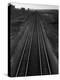 Railroad Tracks-Andreas Feininger-Premier Image Canvas