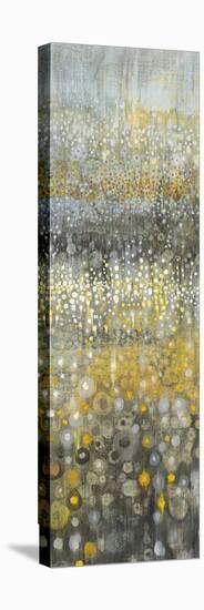 Rain Abstract VIII-Danhui Nai-Stretched Canvas