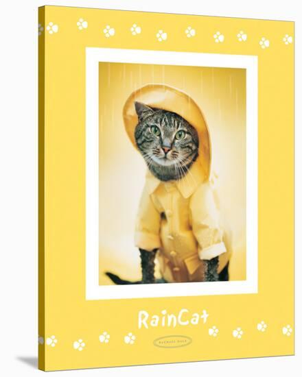 Rain Cat-Rachael Hale-Stretched Canvas